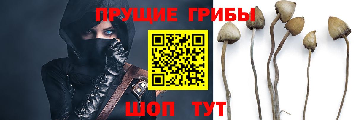 Псилоцибиновые грибы MAGIC MUSHROOMS Урус-Мартан